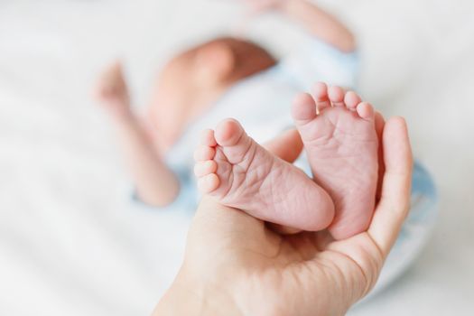 Mother holds newborn baby's bare heels. Tiny feet in woman's hand. Cozy morning at home.