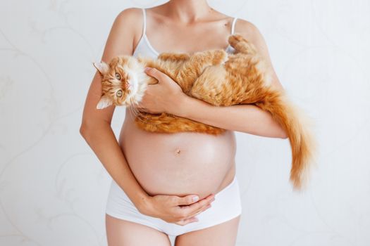 Pregnant woman in white underwear with cute ginger cat. Young woman expecting a baby. Risk of infection toxoplasmosis.