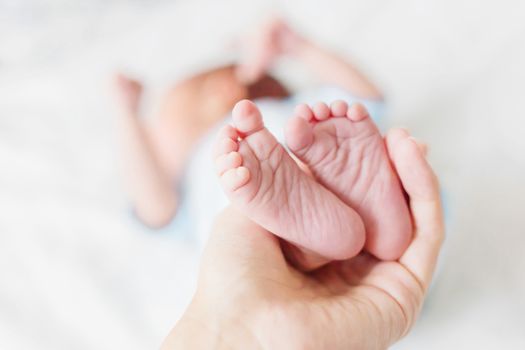 Mother holds newborn baby's bare heels. Tiny feet in woman's hand. Cozy morning at home.