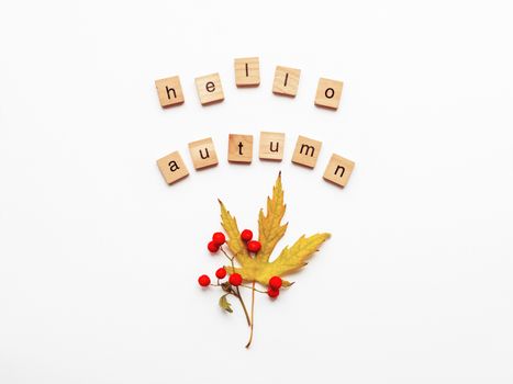 Autumn leaves and berries on white background. Words HELLO AUTUMN. Seasonal greeting with copy space.