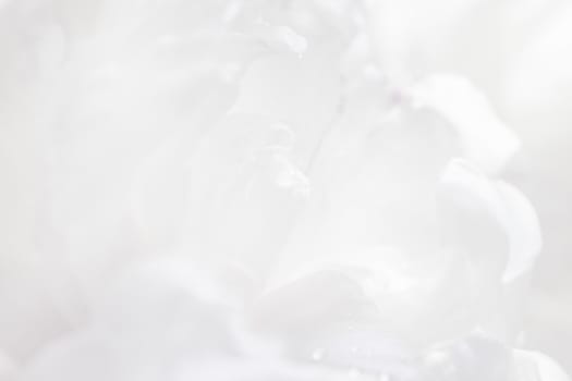 Graceful pastel peony background, great for greeting, valentine's day cards, wedding invitations, etc.