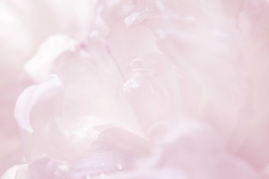 Graceful pastel pink peony background, great for greeting, valentine's day cards, wedding invitations, etc.
