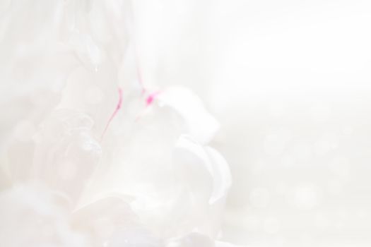 Graceful pastel peony background, great for greeting, valentine's day cards, wedding invitations, etc.