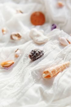 White textile background with different shells. Sea corals on fabric with ruches.