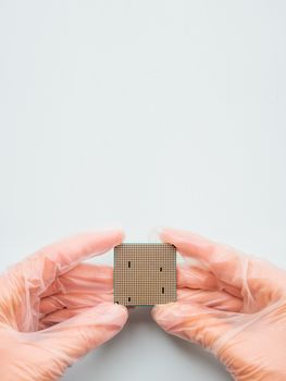 Hands in rubber glove with Central Computer Processor. CPU on grey background. Technological detail of personal computer.