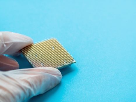 Hand in rubber glove with Central Computer Processor. CPU on blue background. Technological detail of personal computer.