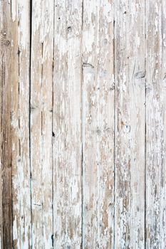 Wooden background of old fence with rusty nails. Shabby texture of white colored wooden boards.