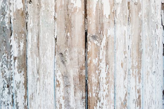 Wooden background of old fence with rusty nails. Shabby texture of white colored wooden boards.