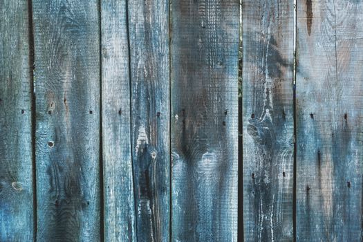 Wooden background of old fence with rusty nails. Shabby texture of blue colored wooden boards.
