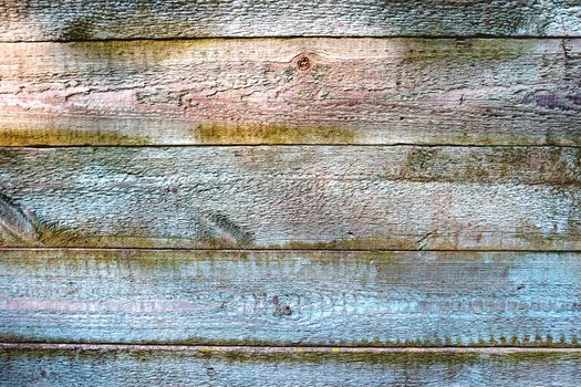 Wooden background of old fence with rusty nails. Shabby texture of colorful wooden boards.