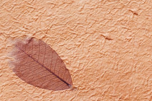 Abstract texture background. Handmade wrinkled paper with fibers and leaf.