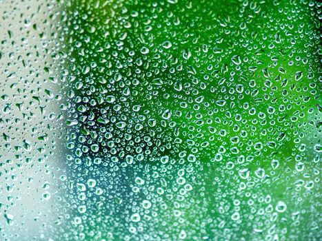 Rain drops on glass. Silhouettes of green water drops on a transparent surface.