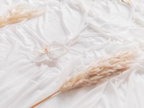 Phalaenopsis Orchid and Cortaderia selloana (pampas grass) on white fabric.Graceful background with flowers and folded textile. Cozy stilllife backdrop.