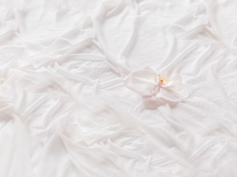 Phalaenopsis Orchid on white fabric. Graceful background with flower and folded textile. Cozy stilllife backdrop.