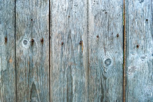 Wooden background of old fence with rusty nails. Shabby texture of blue colored wooden boards.