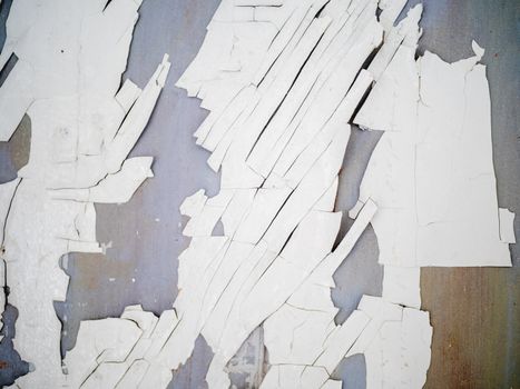Wooden background of old fence with rusty nails. Shabby texture of white colored wooden boards.