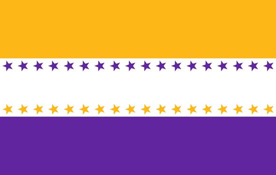 Nineteenth Amendment flag united states of america history symbol
