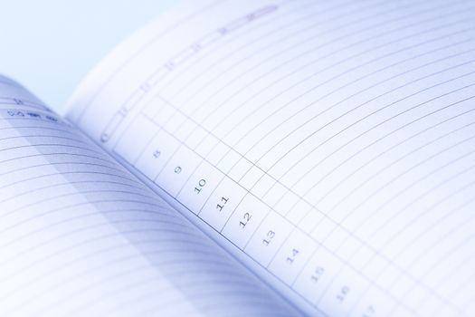 Clear pages of undated diary. Blue light falls on the numbered lines of daily planner. To do list.