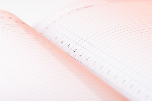 Clear pages of undated diary. Pink light falls on the numbered lines of daily planner. To do list.