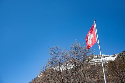 swiss flag in swiss mountains with trees and blue sky