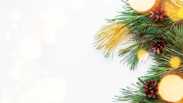 Banner with pine tree branches and cones. White background with coniferous tree branches and light bulbs.