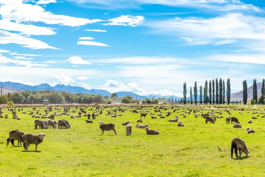 Queenstown in New Zealand. The city of adventure and nature.