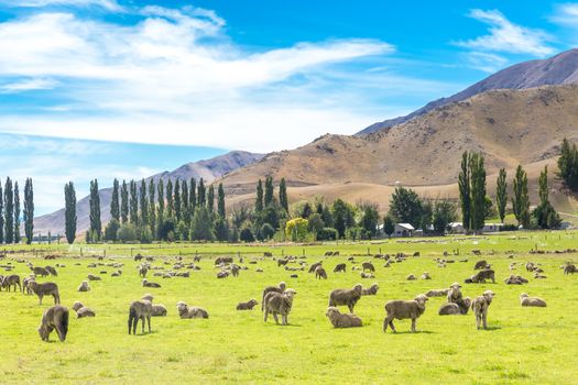 Queenstown in New Zealand. The city of adventure and nature.