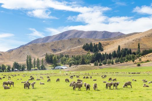 Queenstown in New Zealand. The city of adventure and nature.