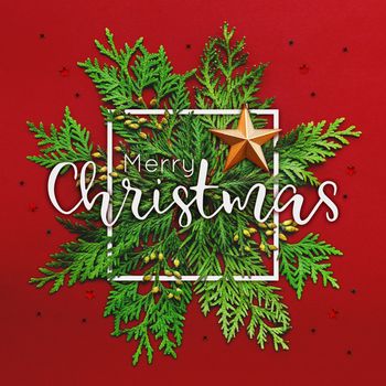 Christmas background with thuja branches and words MERRY CHRISTMAS in white square frame. Trendy Xmas greeting with star decorations on red backdrop.