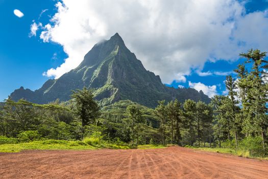 Moorea Island in the French Polynesia.