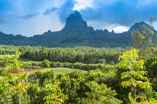 Moorea Island in the French Polynesia.