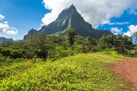 Moorea Island in the French Polynesia.