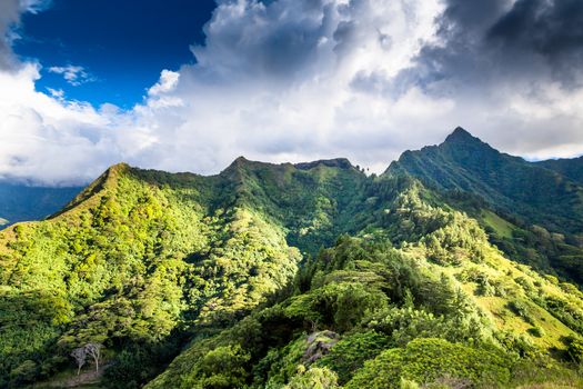 Moorea Island in the French Polynesia.