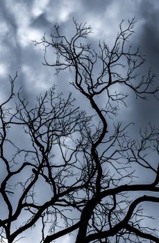 Silhouette dead tree on dark dramatic sky and white clouds background for death and peace. Halloween day background. Despair and hopeless concept. Sad of nature. Death and sad emotion background.
