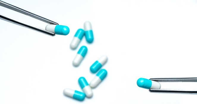 Forceps pick white-blue capsule from group of capsule pills. Drugs choose. Antibiotic drug selection. Antibiotic drug resistance concept. QA and QC in pharmaceutical factory concept. Drugs of choice.