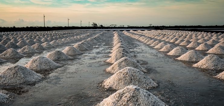 Salt farm in the morning with sunrise sky. Organic sea salt. Evaporation and crystallization of sea water. Raw material of salt industrial. Sodium Chloride. Solar evaporation system. Iodine salt.