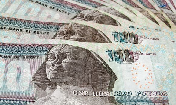 A fan of one hundred pound notes from Egypt.  Used banknotes, photographed at an angle.
