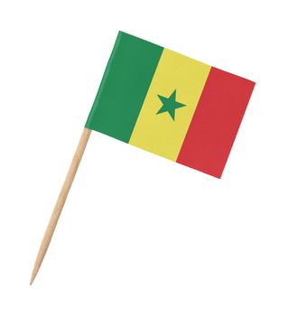 Small paper flag of Senegal on wooden stick, isolated on white