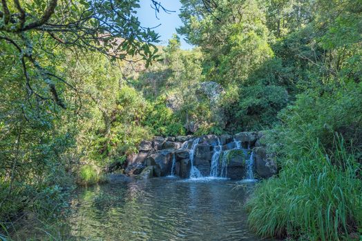 Cascades and a pool between trees at Fairy Glenn near Mahai