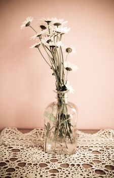 beautiful bouquet of white summer camomiles in a vase on an orange background