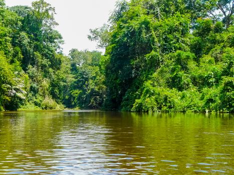 Tortuguero National Park, Limon, Costa Rica