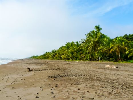 Tortuguero National Park, Limon, Costa Rica