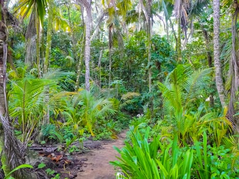 Cahuita National Park, Caribbean Coast, Costa Rica