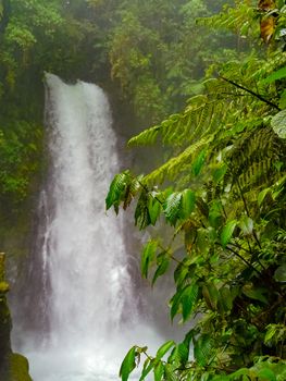 La Paz Waterfall Gardens Nature Park, Alajuela, Costa Rica