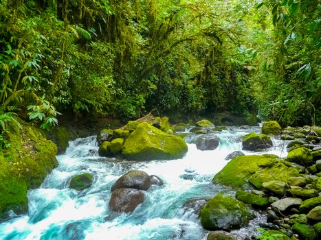 La Paz Waterfall Gardens Nature Park, Alajuela, Costa Rica