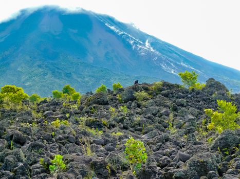 Arenal volcano national park, Alajuela, San Carlos, Costa Rica