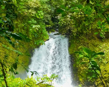 Arenal volcano national park, Alajuela, San Carlos, Costa Rica