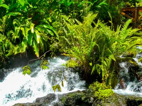 Tabacon Hot Springs River at Arenal Volcano, Alajuela, San Carlos, Costa Rica