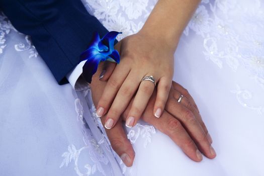 Hands of the bride and groom on the background of a wedding dress.