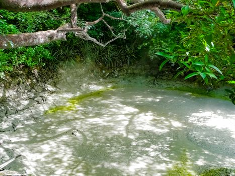 Boiling mud pot in Rincon de la Vieja national park, Guanacaste, Costa Rica